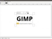 gimp