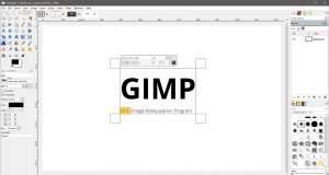 gimp