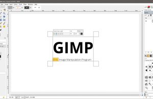 gimp