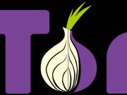 Tor meilleur navigateur Darknet