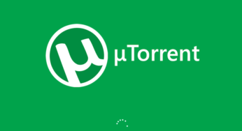 Zooqle : le nouveau moteur de recherche des Torrents avec excellence !