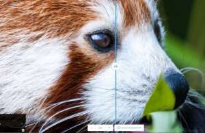 Google-Chrome-Labs-Announce-Isquoosh