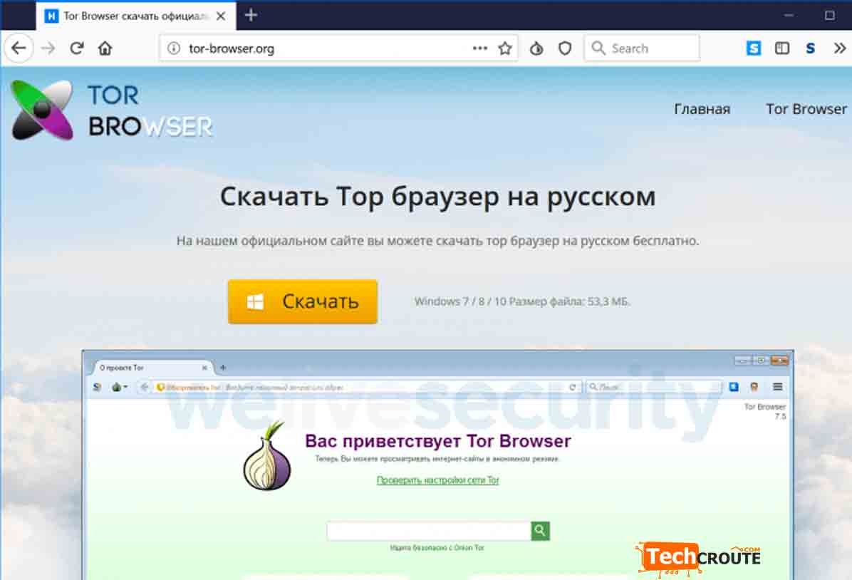 блокировка tor browser гирда