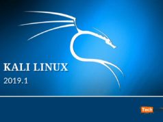 installer-kali-linux