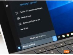 La barre de recherche de Windows 10 bug et Microsoft réagit barre-de-recherche-cortana-windows-10-Bug