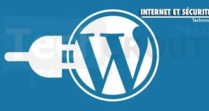 1-wordpress-plugins-themes-update