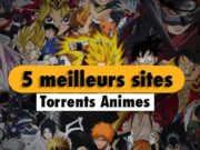 5-meilleurs-sites-torrents-pour-animes-2020