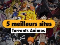 5-meilleurs-sites-torrents-pour-animes-2020