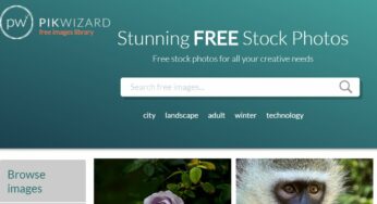 Pikwizard, une autre banque d’images libres de droits