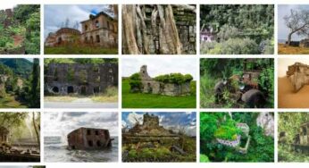 Fond d’écran : Le thème RECLAIMED BY NATURE pour Windows 10