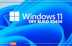 windows11-Build-22454