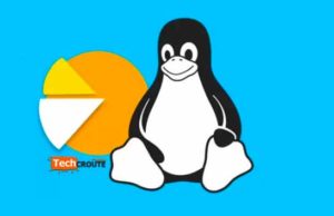 Utiliser-commande-linux-du-sous-Linux