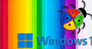 windows-11-bug-rendu-couleurs