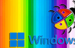 windows-11-bug-rendu-couleurs