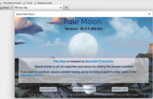 pale-moon-30