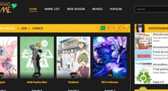 Top 5 des sites de téléchargement d’animes en 2022