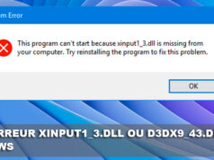 erreur-xinput1_3.dll-ou-d3dx9_43.dll-sur-Windows
