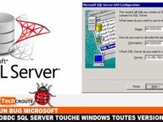 bug-sqlserver-odbc-driver-windows-bug