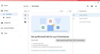 Google va intégrer Microsoft 365 dans ChromeOS