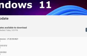 windows-update-bug