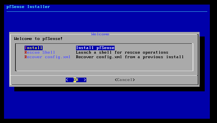pfsense installer - install option