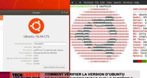 verifier-version-Ubuntu-autres-informations