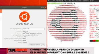 Comment vérifier la version d’Ubuntu et d’autres informations sur le système ?