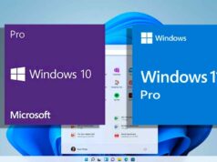 windows11-home-vs-pro