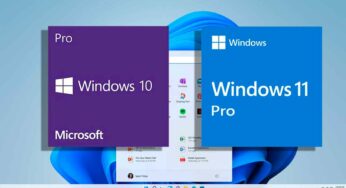 Windows 11 Home (Famille) ou Pro : quelle est la différence ? 