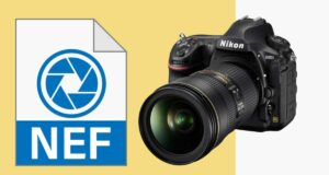 NEF format NIKON