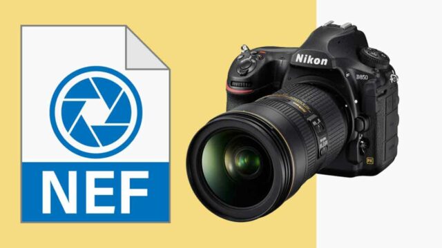 NEF format NIKON