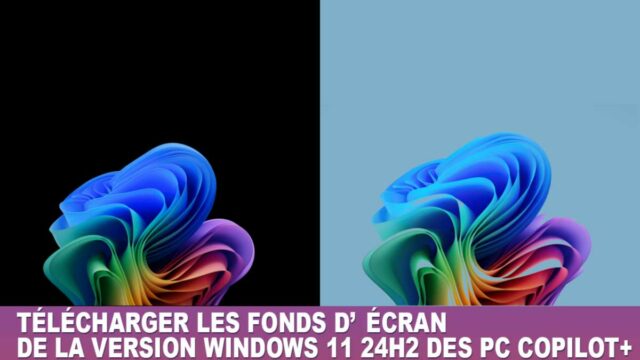 Bloom Windows 11 fonds d'écran