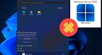 Windows Server : les mises à jour de juin 2025 perturbent le service DHCP