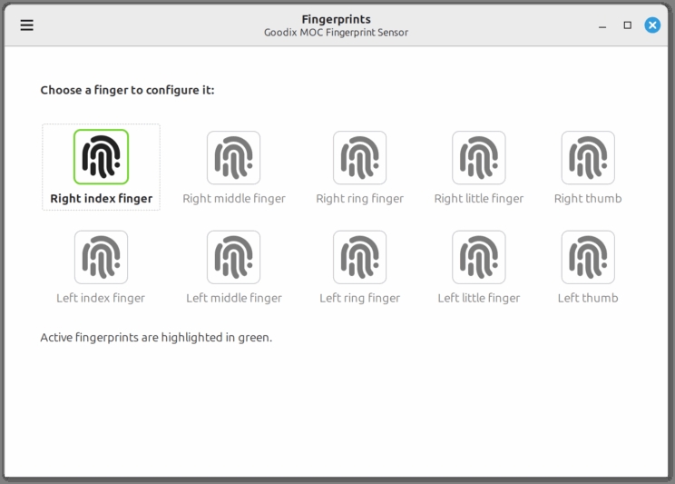 fingerprints
