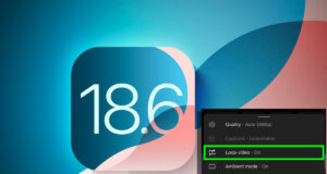 loop-videos-desactivation-option