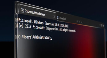 Une nouvelle mise à jour de Windows Terminal  