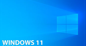 Windows 11 Build 27943 : une mise à jour pour plus de stabilité