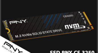 PNY CS3250 : un SSD PCIe 5.0 qui atteint près de 15 Go/s pour l’IA et le gaming