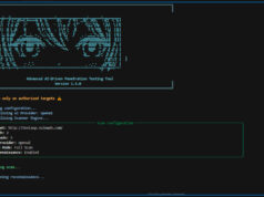Deep Eye : un scanner open source pour débusquer les vulnérabilités web deep-Eye