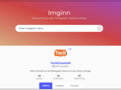 Imginn : un outil pour explorer Instagram en toute discrétion imginn-instagram-scraper
