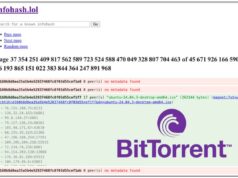 Infohash.lol : Explorer l’immensité des identifiants BitTorrent infohash.lol-techcroute