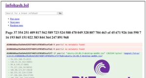 infohash.lol-techcroute