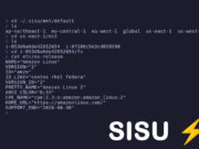 Découvrez Sisu : un outil pour explorer les ressources AWS comme un système de fichiers local sisu-linux