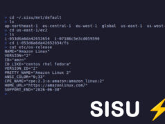 Découvrez Sisu : un outil pour explorer les ressources AWS comme un système de fichiers local sisu-linux