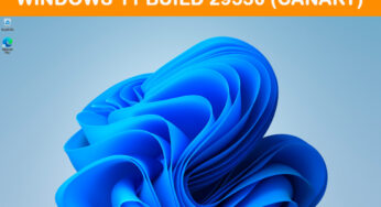 Windows 11 build 29550 (Canary) : nouveaux emojis 16.0 et pilotage natif des webcams en test