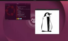 PS5-Linux d’Andy Nguyen