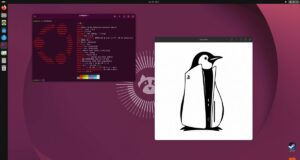 PS5-Linux d’Andy Nguyen