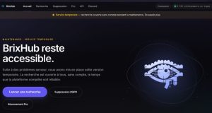 BrixHub centralise des milliards de données personnelles volées et propose un chantage au retrait.